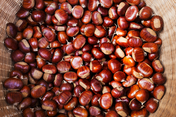 Chestnuts