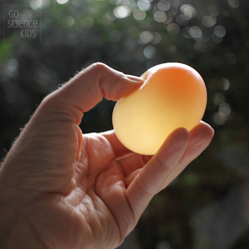 egg