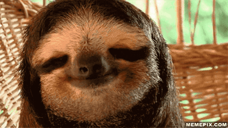 giphy.2021-02-15 11 31 28