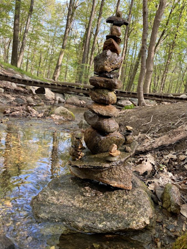 Rocks