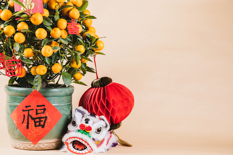 Lunar New Year Citrus Tree
