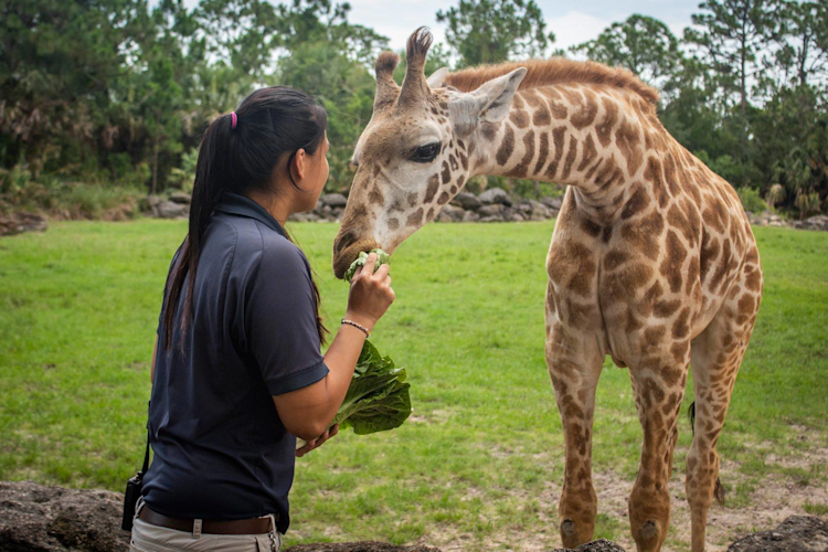 Brevard Zoo