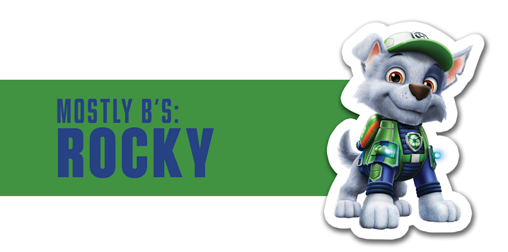 CAMPxPAWPATROL Character-answerrocky