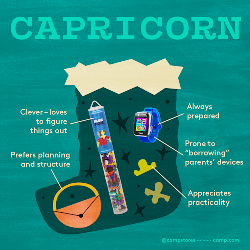 Insta StockingStuffer ZodiacSigns10CAPRICORN
