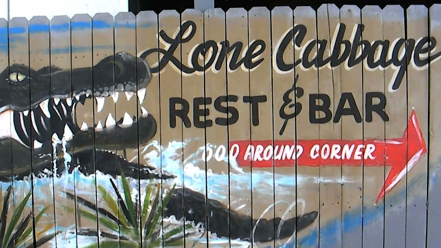 Lone Cabbage