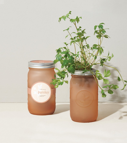 Modern Sprout Garden Jar Parsley