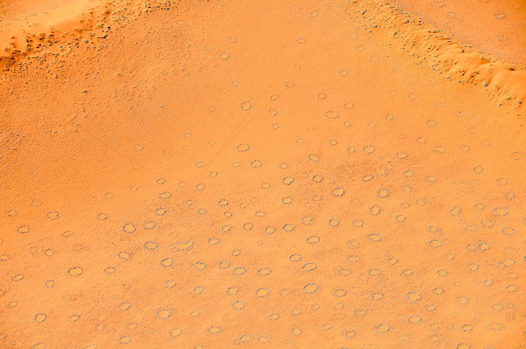 Fairy circles, Namibia