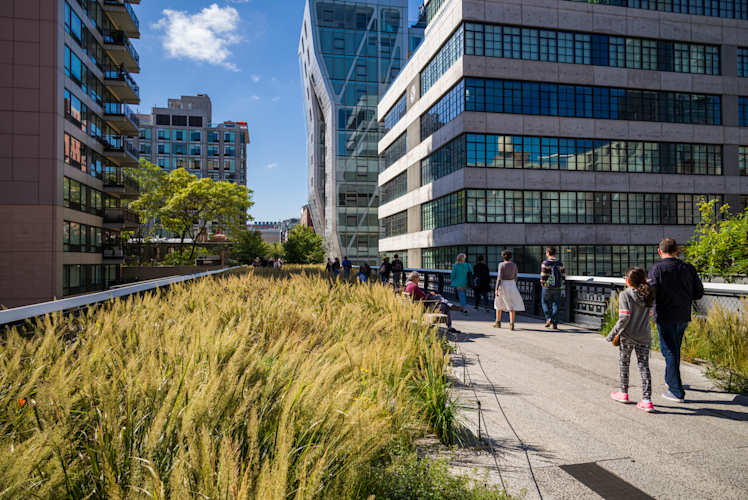 High Line NYC