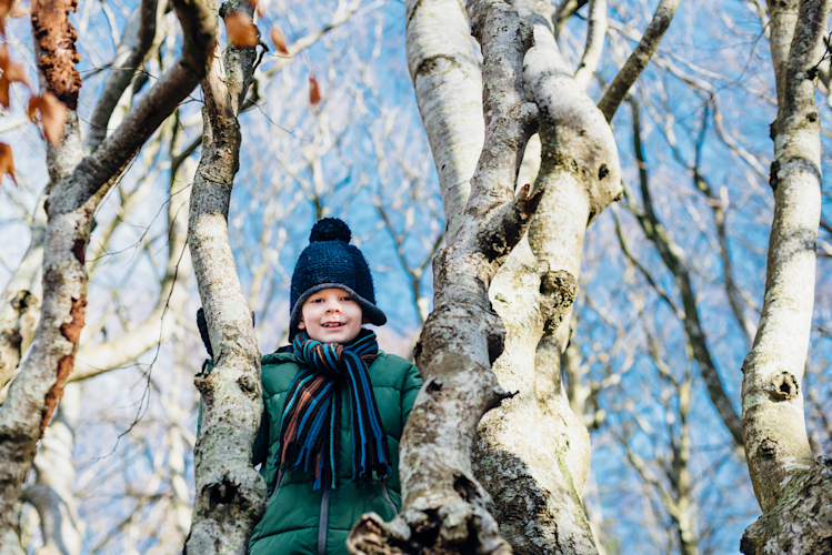 Climb a tree