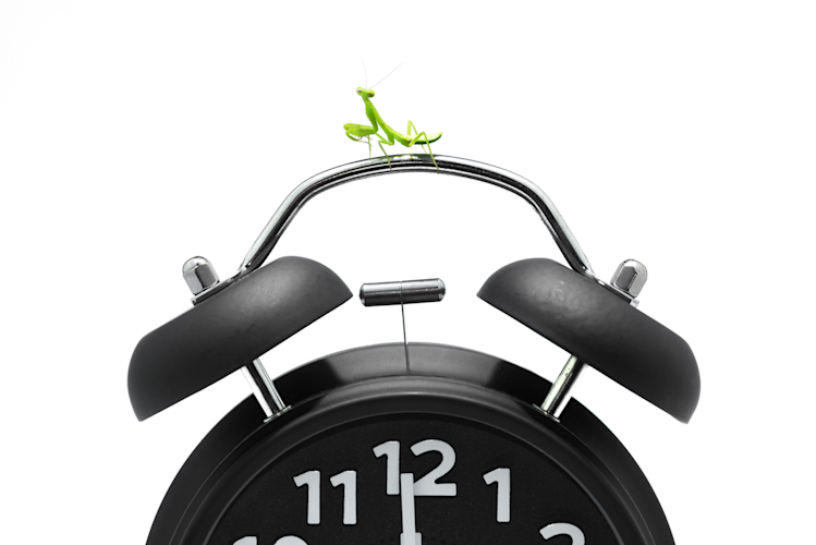 facts about dst