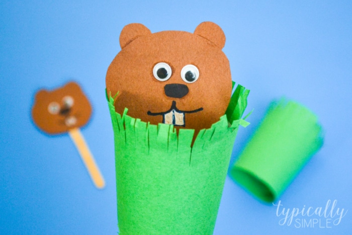 Groundhog-Puppet-2-700x467