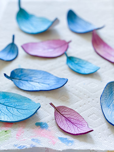 Leaf Impression Clay Craft
