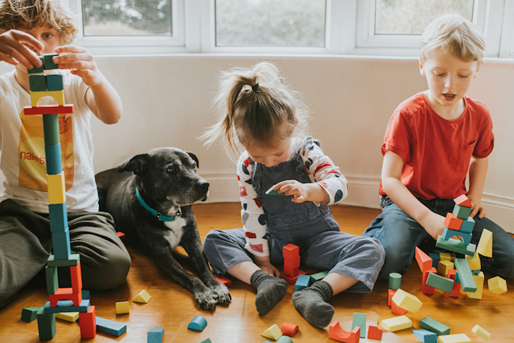 Toys Kids Don't Outgrow