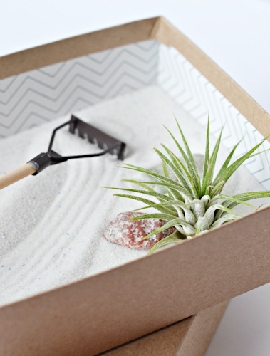 mini-zen-garden-up-close
