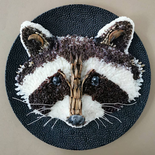Raccoon Rice