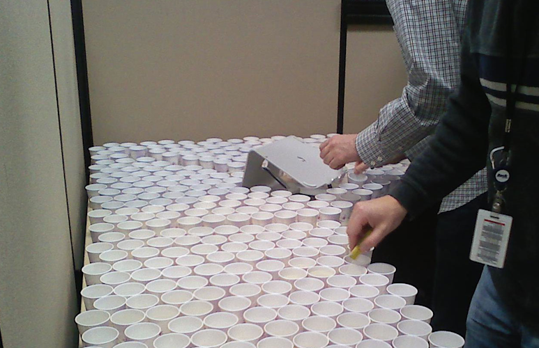 cups-thumb