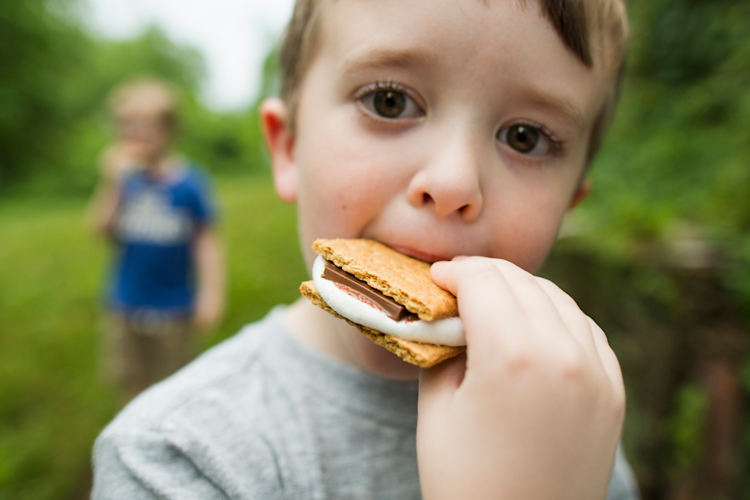 Smores Recipe Updates
