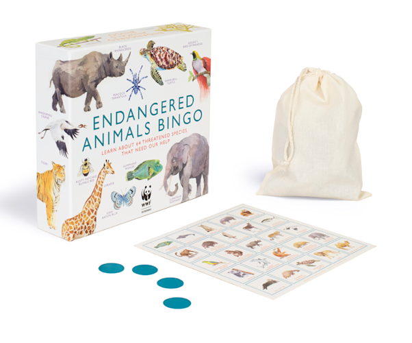 Endangered Animals Binger