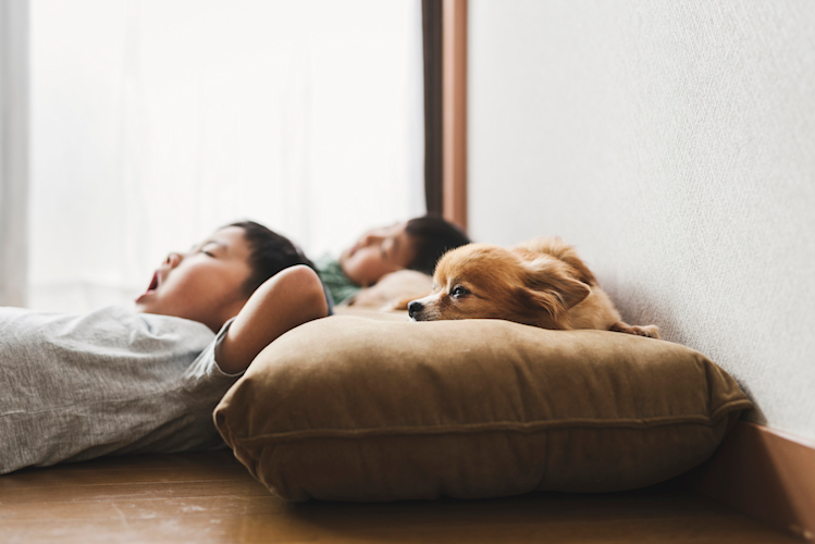 Family Nap