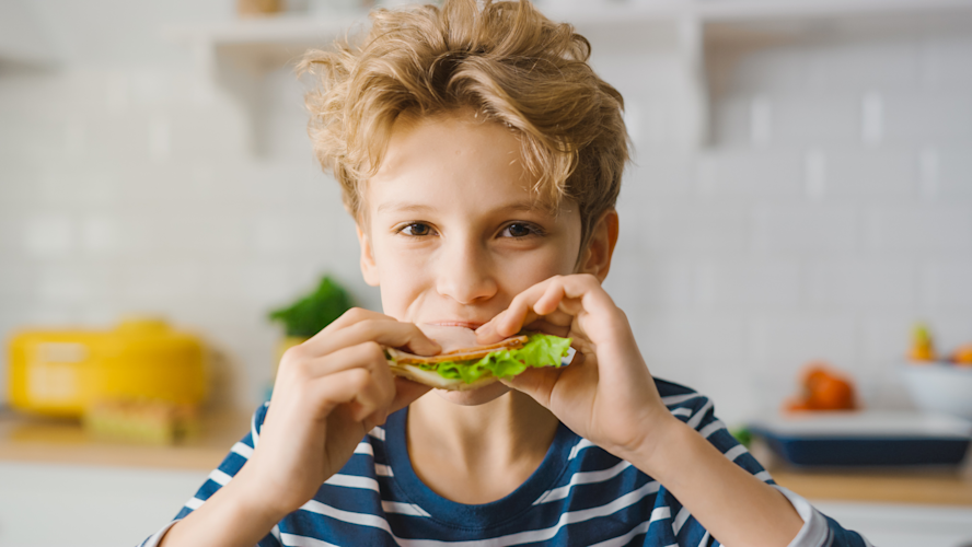 sandwich recipes kids can make