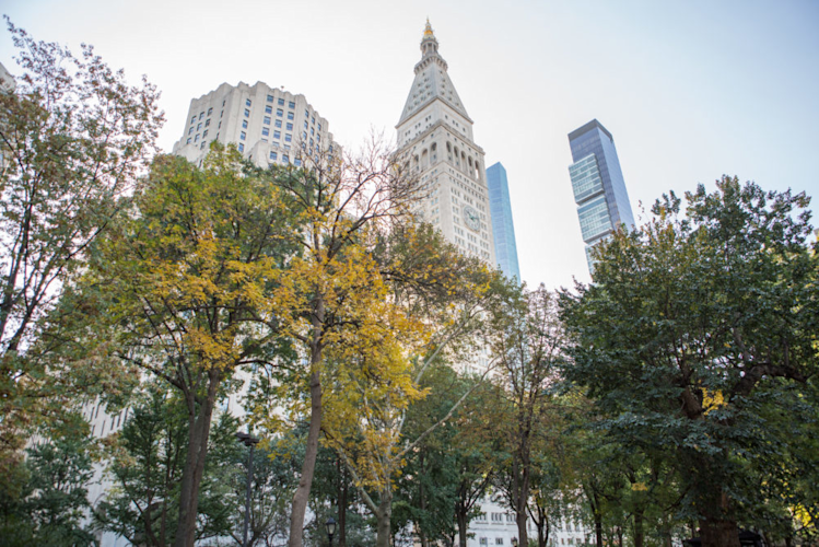 Madison Square Park via Madisonsquarepark.org