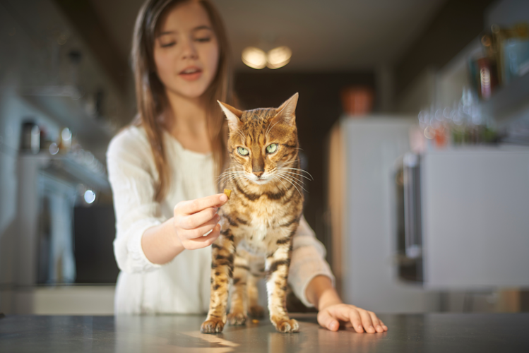 best jobs for kids pet sitting