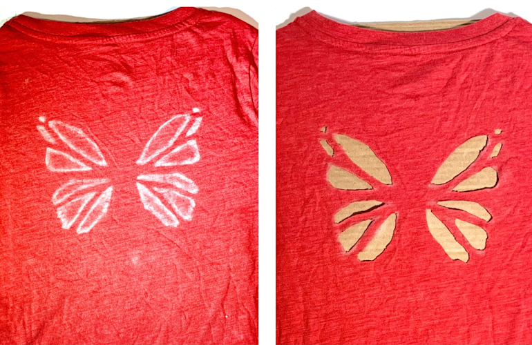Fairy Wings Cut Out