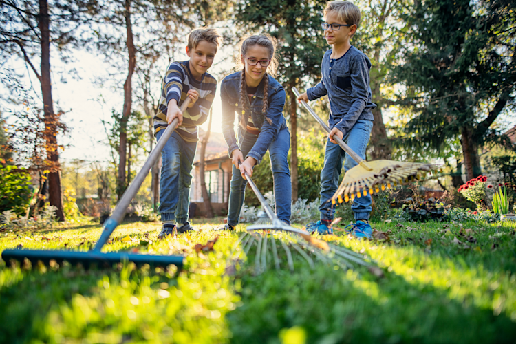best jobs for kids yard work