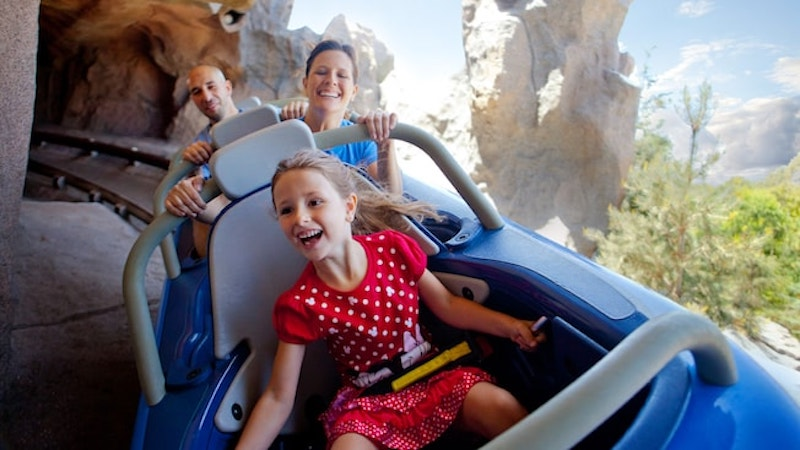 Disney Park Rides