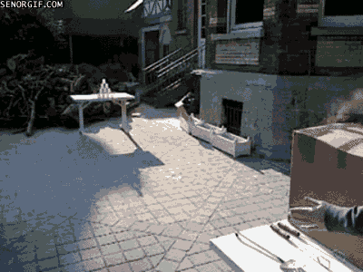 giphy