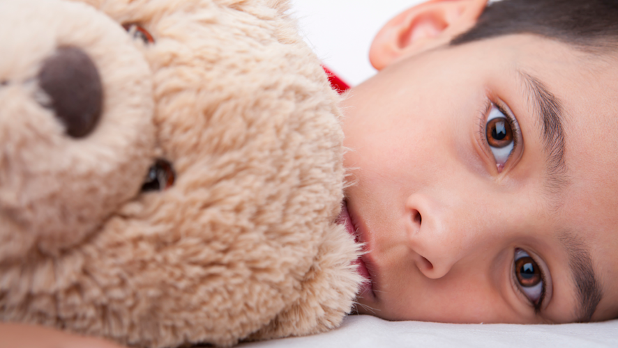Soft Toys