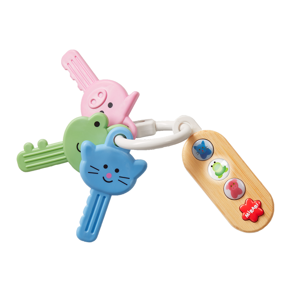 7967 MyKeys content