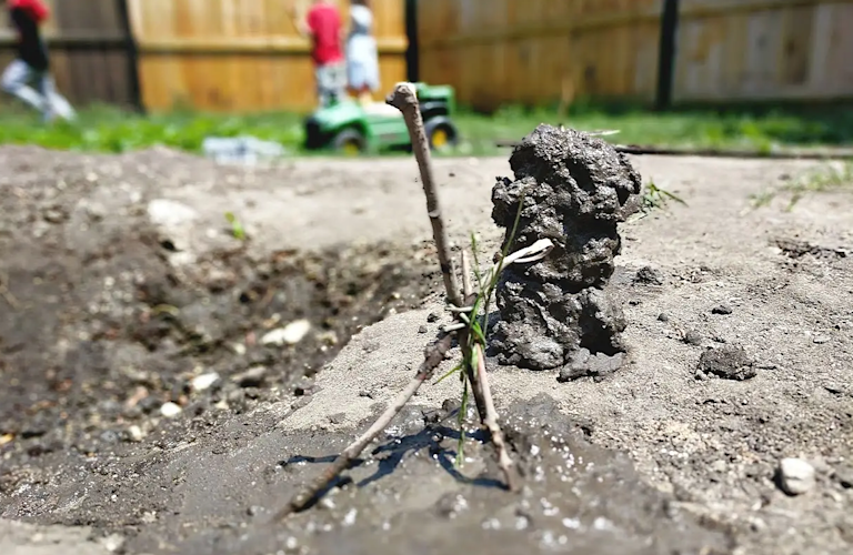 mud-sculptures-7-4