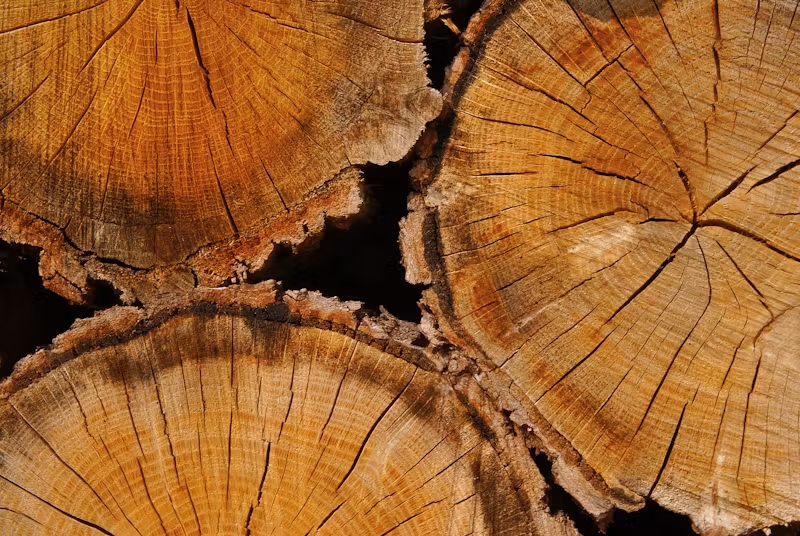 Eco-Friendly Renovation Tips for a Sustainable Home 00