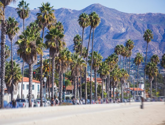 California Dreamin 01