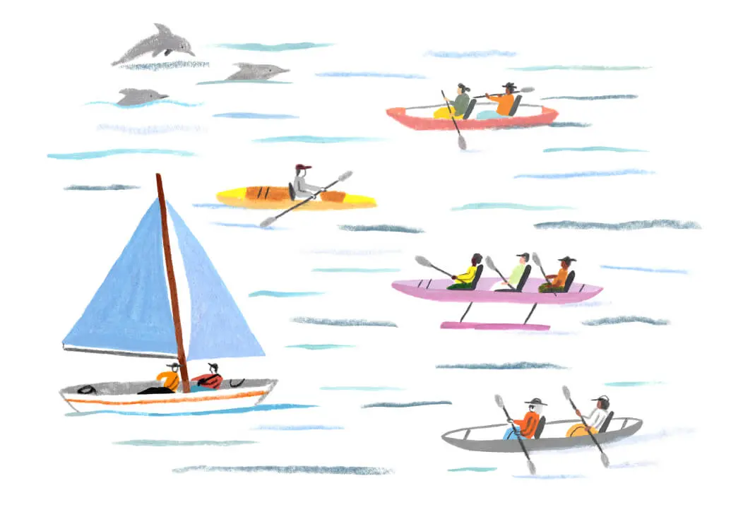 A Monarch by SimplePractice illustration of four kayaks, one sailboat, and three dolphins on water.