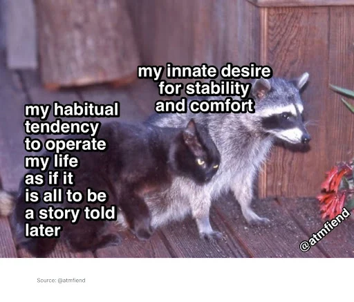 raccoons meme