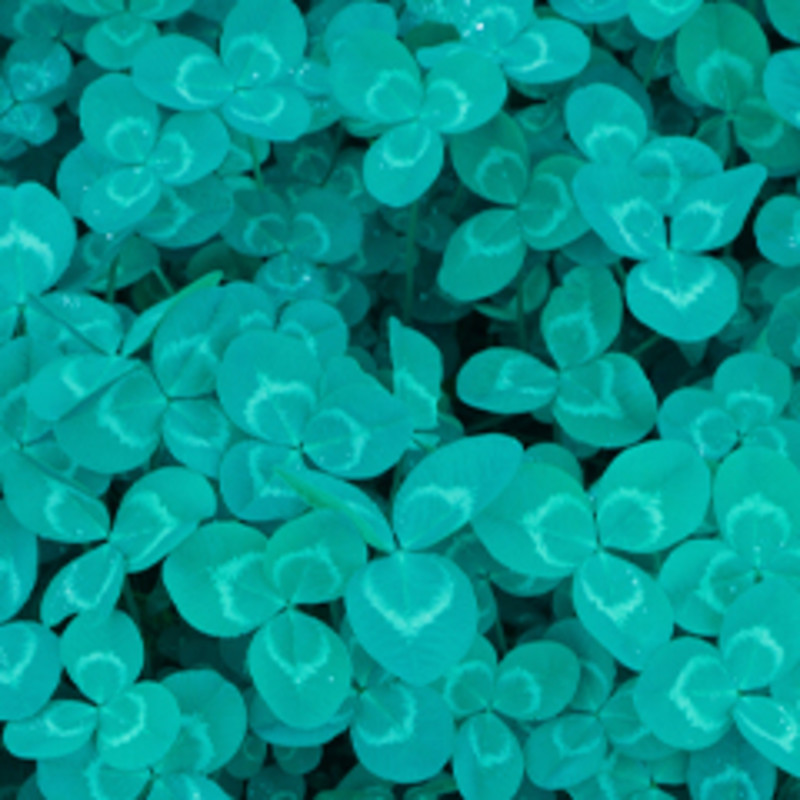 Compensation Law Tile Image for Expertise Landing Page