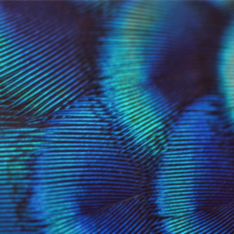 Intellectual Property Tile Image for Expertise Landing Page