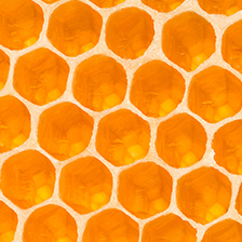 Orange abstract image of honeycomb.