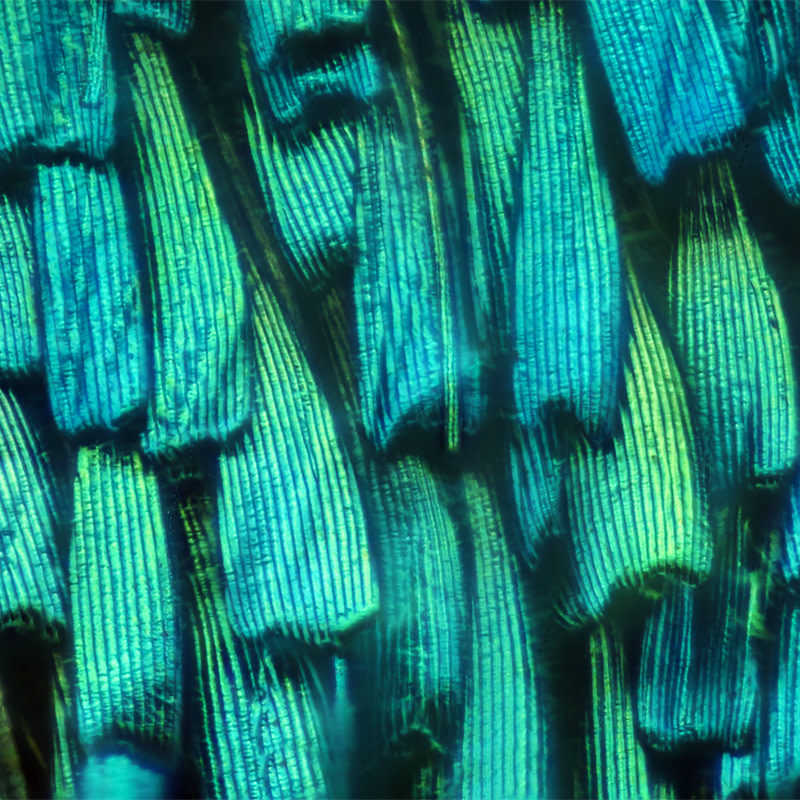 Environment and sustainability Tile Image for About Us Landing Page