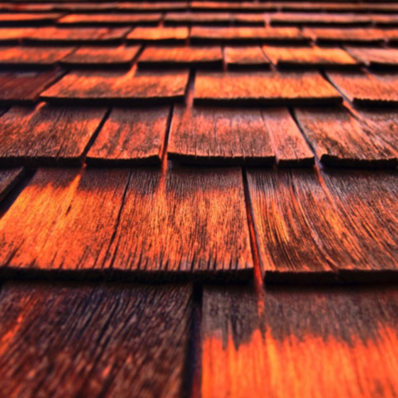 Orange timber roof.