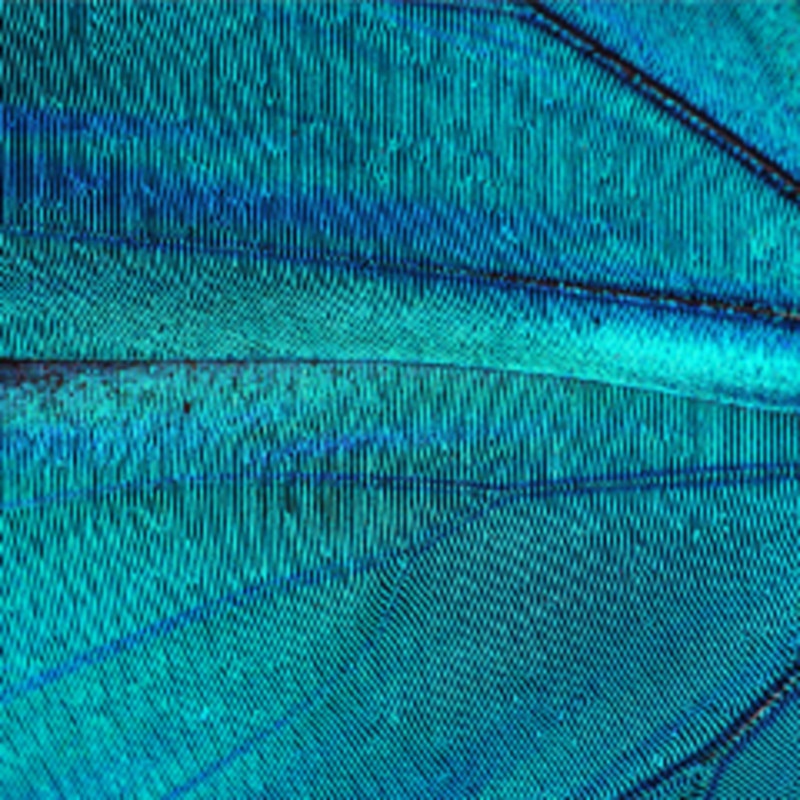 Technology Tile Image for Expertise Landing Page