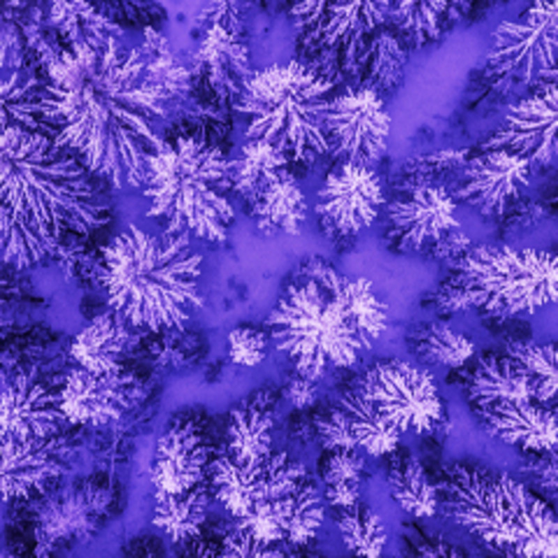 Startups Tile Image for Expertise Landing Page