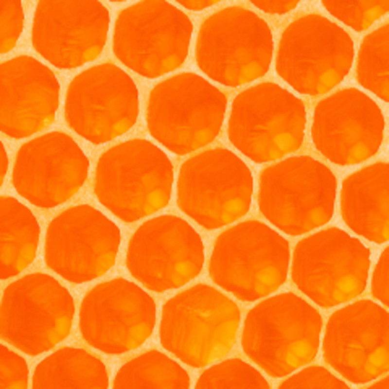 Orange honeycomb.