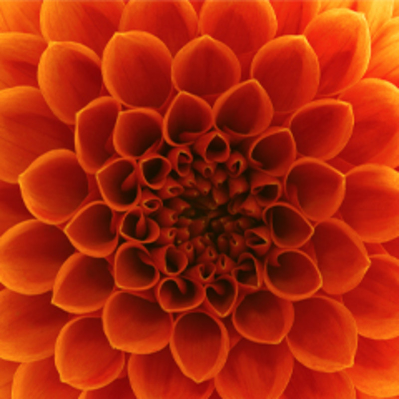 Employment & Workplace Tile Image for Expertise Landing Page