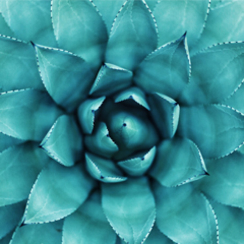 Corporate Finance & Structuring Tile Image for Expertise Landing Page