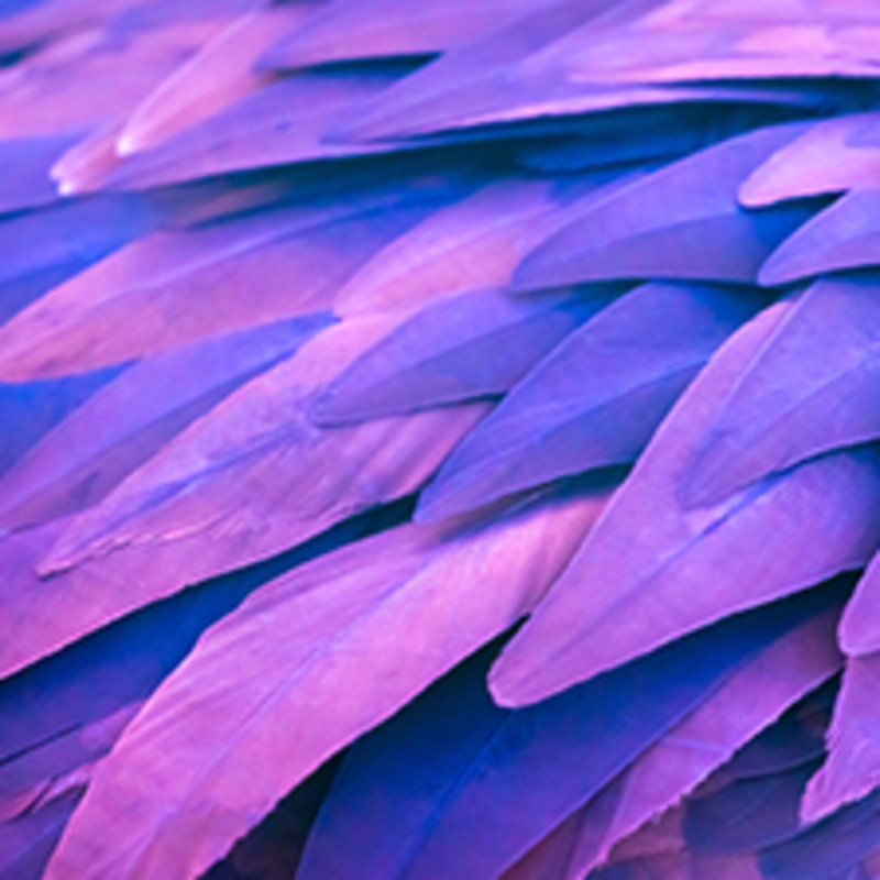 Tile Image for LawTech Hub on Innovation Landing Page