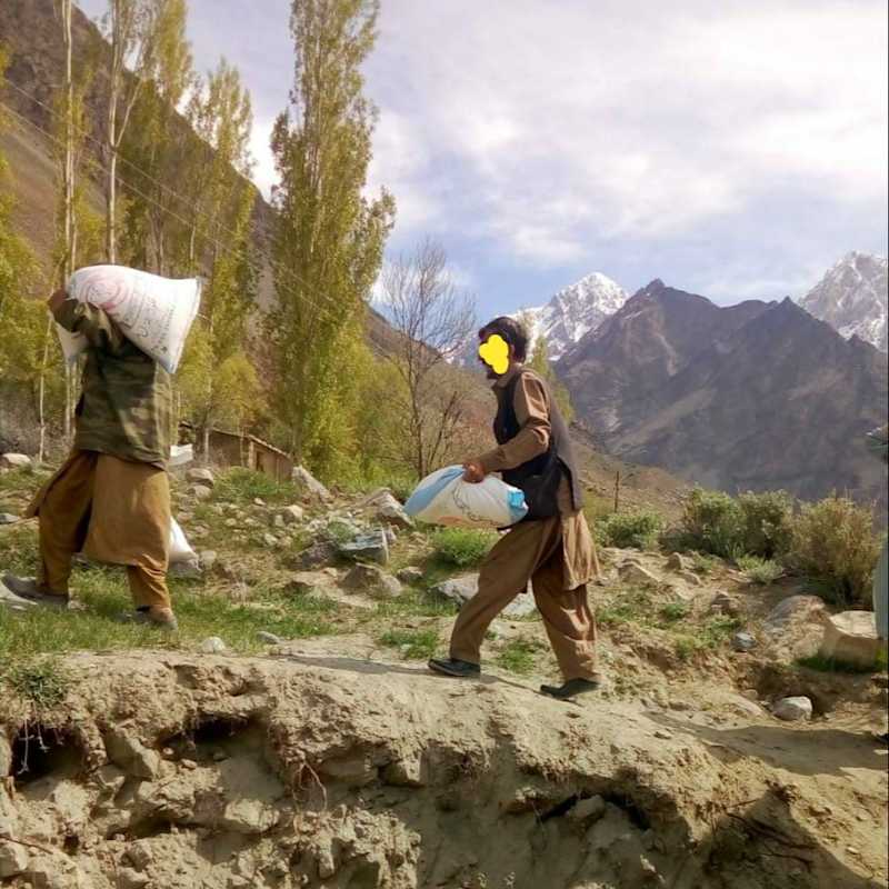 Mastooch Distribution 4