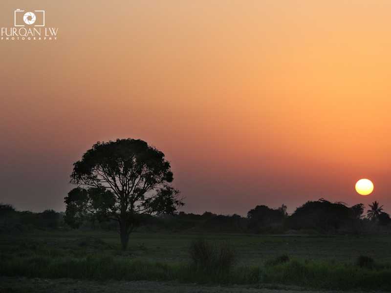 Copyright Furqan LW from http://www.nationalphotographicsociety.pk/furqanlw/sunset-in-village-of-mirpur-sakro/